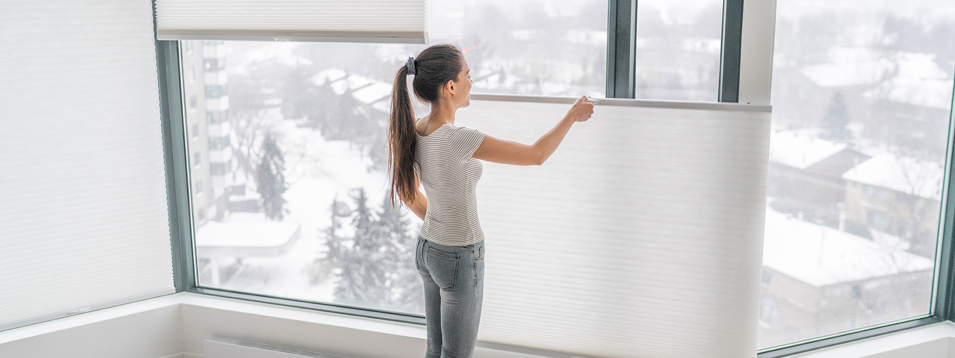 Pleated Blinds